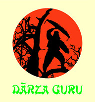 Dārza Guru, territory improvement, planting
