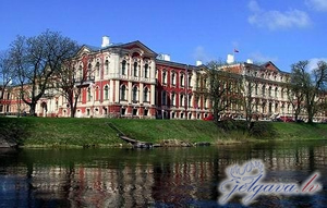 Jelgavas pils, pilis