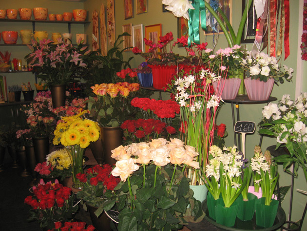Gėlių salonai