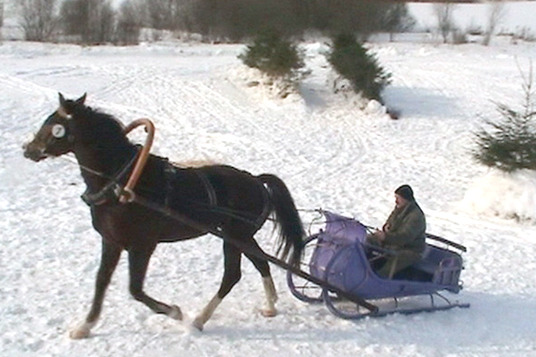 Зимние соревнования конных саней 