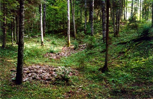 Miško takeliai