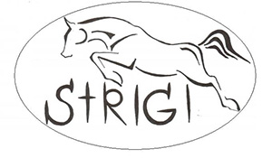 Strigi, žirginio sporto klubas