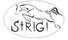 Strigi, žirginio sporto klubas