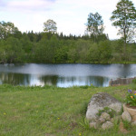 Vietos palapinėms