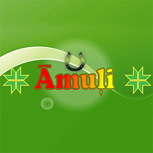 Āmuļi, SIA, parduotuvė