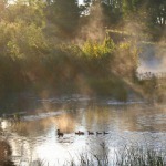 Erholung in der Natur