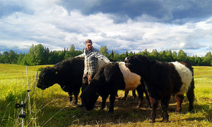 Baltic Galloway, SIA