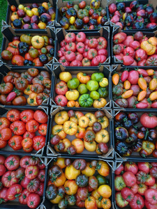 Bio saimniecība “Kausiņi”