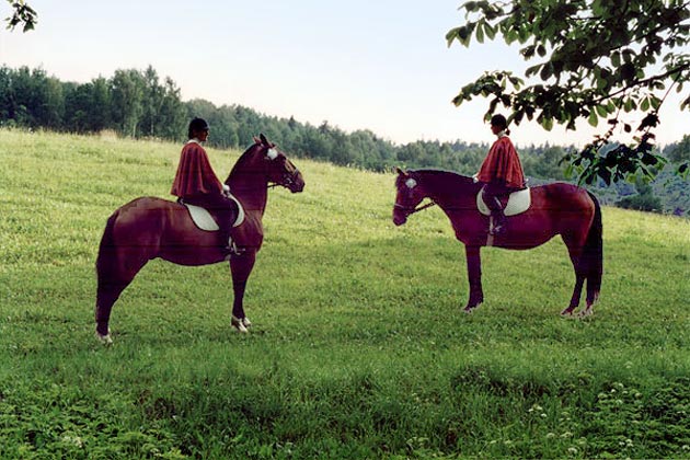 Jodinėjimas arkliais