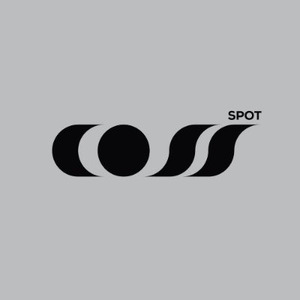 COSS SPOT, store