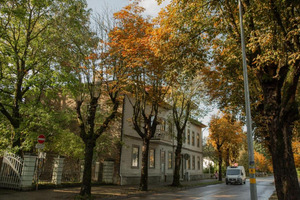 Dāvida Apartamenti, apartamentų viešbutis