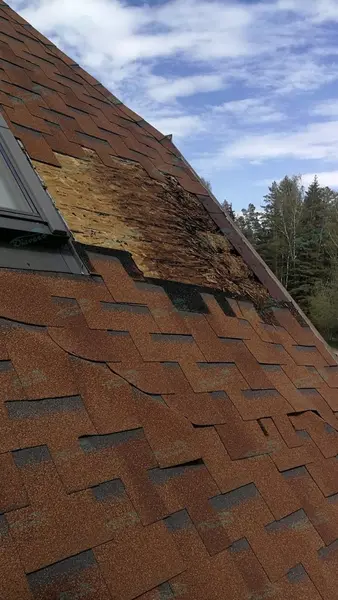 Reparatur von Bitumenschindeln