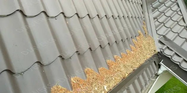 Waschen und Reinigen von Dacheindeckungen