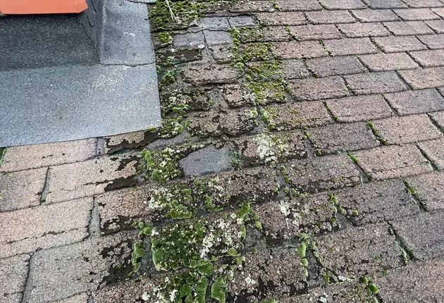 Anti-Moos-Behandlung von Dächern