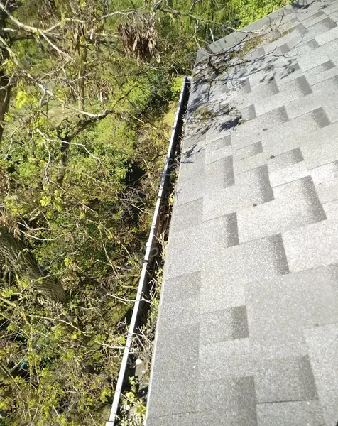 Anti-Moos-Behandlung von Dächern