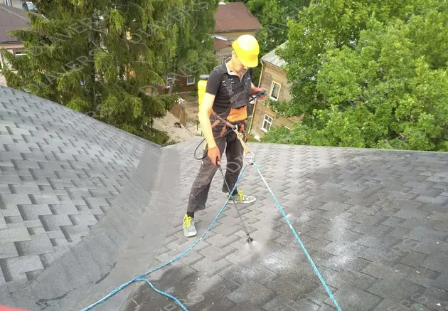 Anti-Moos-Behandlung von Dächern