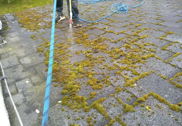 Anti-Moos-Behandlung von Dächern