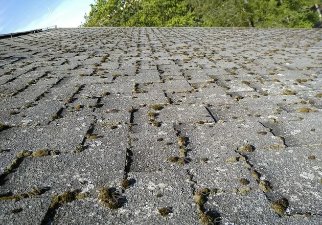 Anti-Moos-Behandlung von Dächern