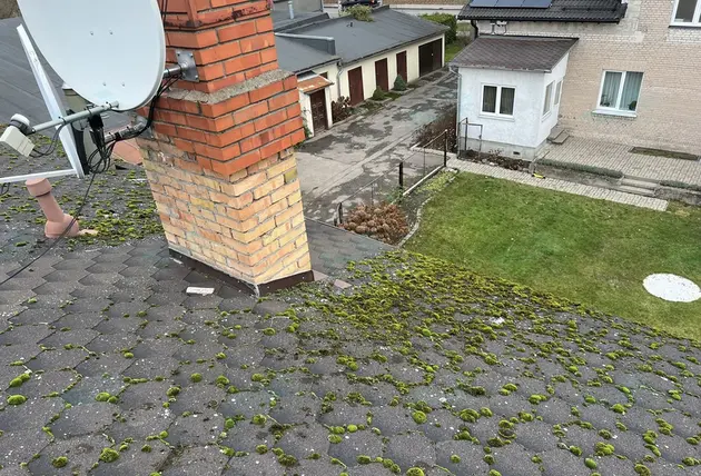 Anti-Moos-Behandlung von Dächern