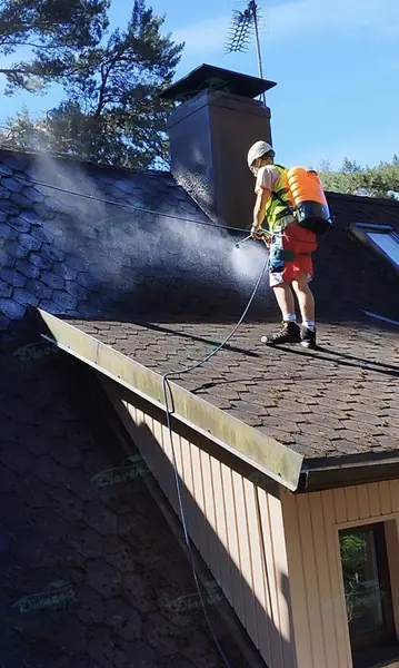 Anti-Moos-Behandlung von Dächern