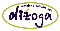 Dižoga Z/S