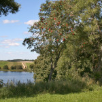 Vietos palapinėms