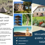 Miško takeliai