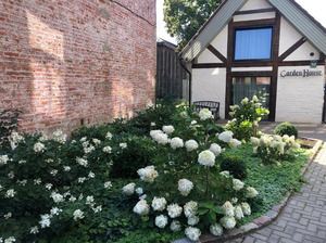 Garden House, svečių namai
