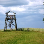 Бельведера (Смотровые башни)