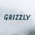 Grizzly Riga, SIA