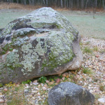 Poilsis gamtoje