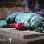Laidotuvių paslaugos gyvūnams