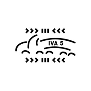 IVA 5, SIA, transporto paslaugos