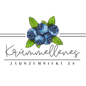 Jaunzemnieki, ZS