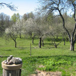 Vyšnių sodai