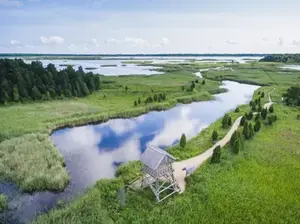 Kaņiera ezera putnu novērošanas tornis, paukščių stebėjimo bokštas