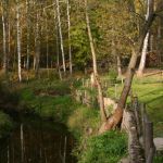 Erholung in der Natur