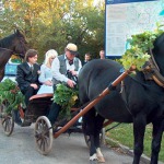 Jaunavedžių porų pramogos ir išbandymai