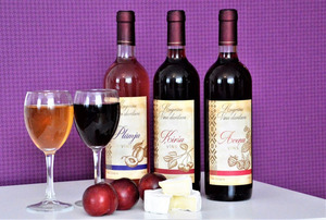 Kugrēnu Vīna Darītava, vīna darītava