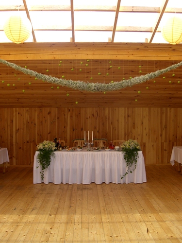 Estrada po atviru dangumi