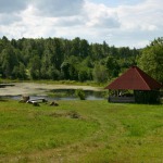 Vietos palapinėms