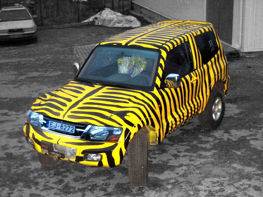 Reklama ant automobilių