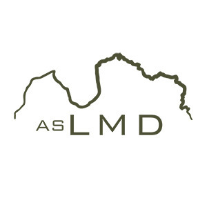 Latvijas meža dienests, AS