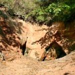 Uolos