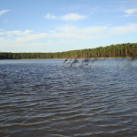 Ežerai