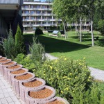 Reabilitacijos ir priežiūros centrai