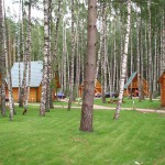 Vietos palapinėms