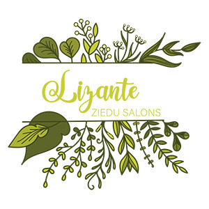 Lizante, Blumenladen