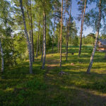 Vietos palapinėms