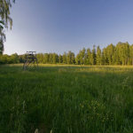 Laukinių gyvūnų stebėjimas